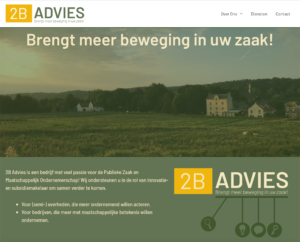 2B Advies Website design
